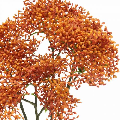 Floristik24 Elder Orange Sztuczna gałązka kwitnąca 52cm 4szt.