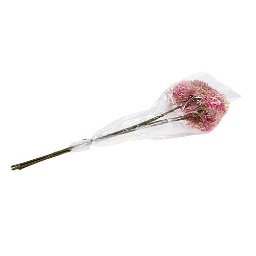 Floristik24 Gałązka bzu biało-różowa L 55cm 4szt.
