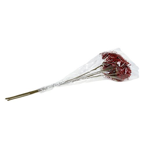 Floristik24 Gałązka bzu czerwona 55cm 4szt.