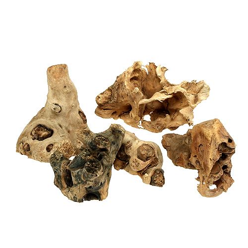 Floristik24 Korzenie drewna natura 8cm - 10cm 500g