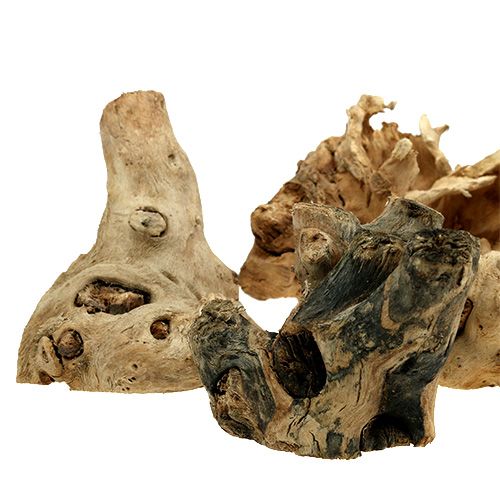 Floristik24 Korzenie drewna natura 8cm - 10cm 500g