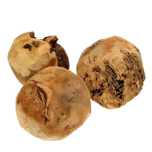 Floristik24 Kula drewniana kula jodłowa naturalna Ø9cm 3 szt