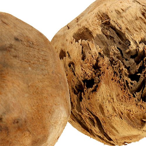 Floristik24 Kula drewniana kula jodłowa naturalna Ø9cm 3 szt