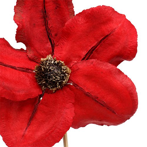Produkt Kwiatek drewniany jako zatyczka czerwony Ø9cm - 12cm L45cm 15 szt