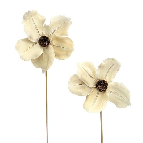 Produkt Kwiatek drewniany jako zatyczka, bielony Ø9-12cm L45cm 15 sztuk