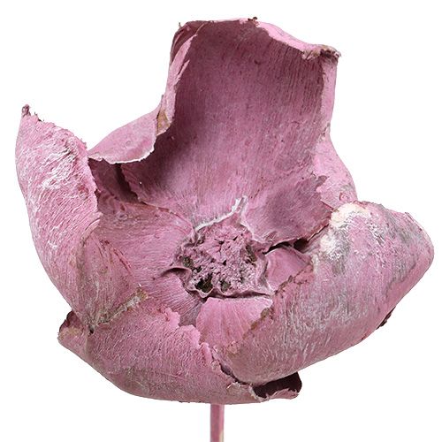 Produkt Drewniany Kwiat, Palm Cup Mix Różowo-Wrzosowy 25szt