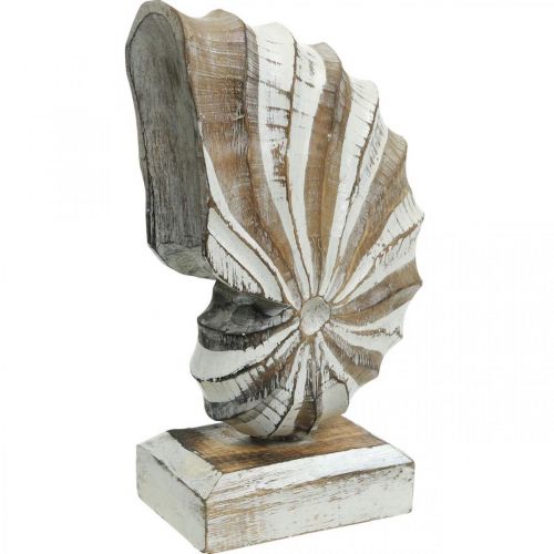 Floristik24 Drewniany stojak na muszle w stylu morskim, naturalny, biały wys.28cm