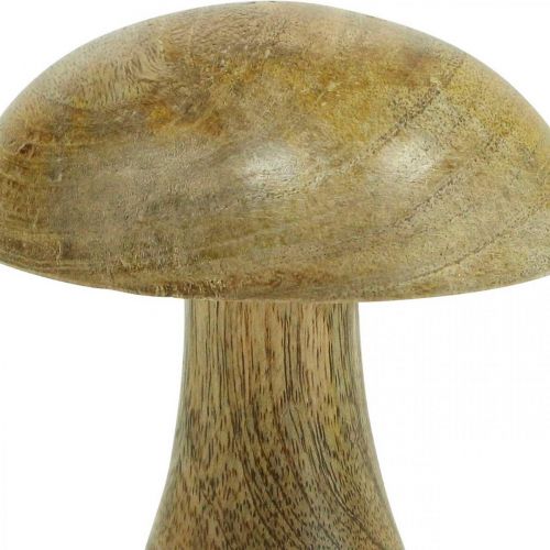 Floristik24 Grzyb drewniany naturalny, żółty jesienny deco Grzyby drewniane 12×10cm