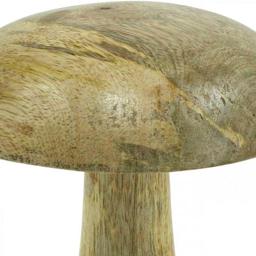 Floristik24 Grzyb drewniany naturalny, żółta dekoracja drewniana jesienne grzyby dekoracyjne 15×13cm