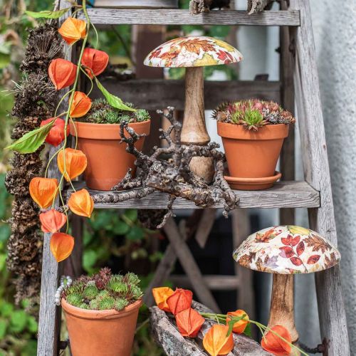 Floristik24 Drewniane grzyby dekoracyjne jesienne liście biała, kolorowa jesienna dekoracja Ø13cm W19cm
