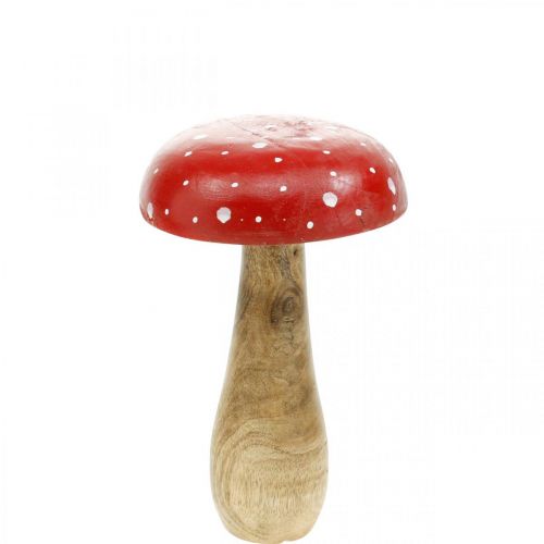 Floristik24 Muchomor drewniany dekoracyjny grzyb jesienny Ø12cm W19cm