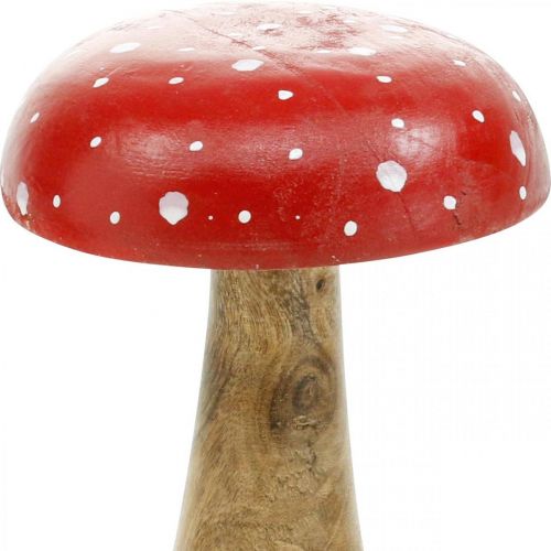 Floristik24 Muchomor drewniany dekoracyjny grzyb jesienny Ø12cm W19cm
