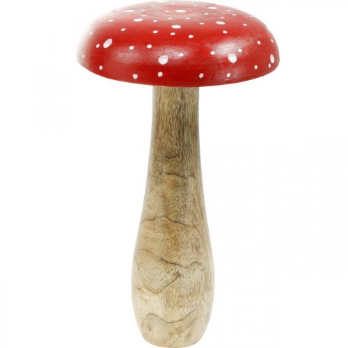 Floristik24 Muchomor duży jesienny grzyb dekoracyjny Ø14cm W24cm