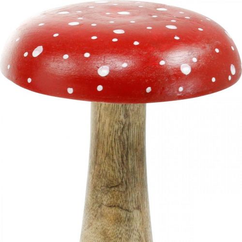 Floristik24 Muchomor duży jesienny grzyb dekoracyjny Ø14cm W24cm