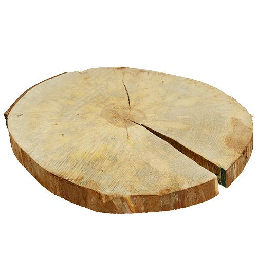 Floristik24 Krążek drewniany natura 25cm - 30cm