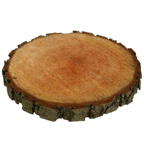 Floristik24 Drewno olchowe natura Ø20cm - 24cm