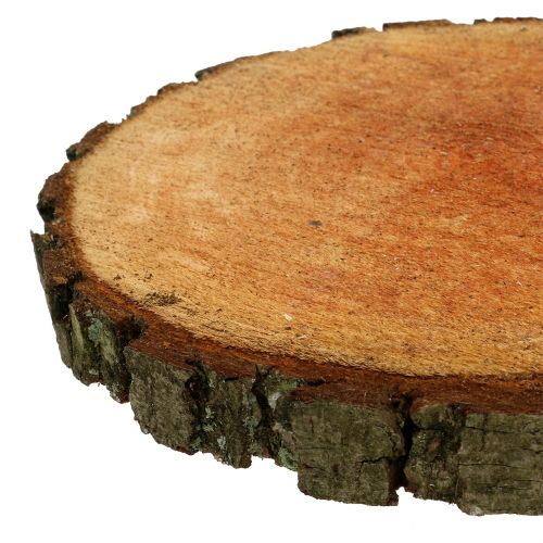 Floristik24 Drewno olchowe natura Ø20cm - 24cm