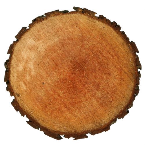 Floristik24 Drewno olchowe natura Ø20cm - 24cm