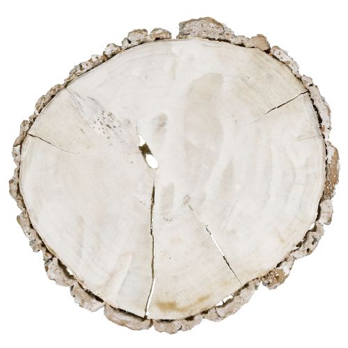 Floristik24 Krążek drewniany myty na biało 13cm - 15cm 2szt