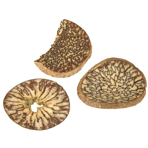 Produkt Drewniane krążki dekoracyjne z orzechów betelowych, plasterki areki 1-3,5 cm 300 g