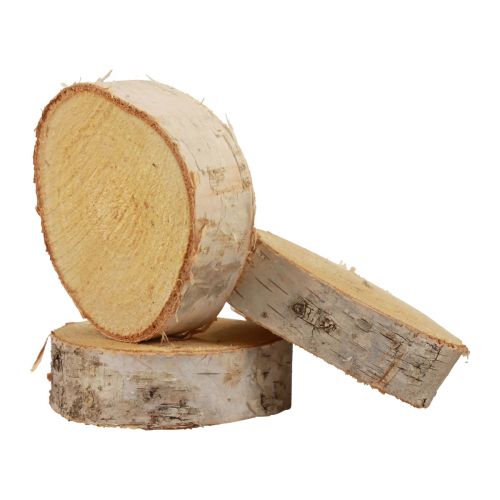 Floristik24 Krążki drewniane dekoracyjne drewno brzozowe kora naturalna Ø7-9cm 18 sztuk