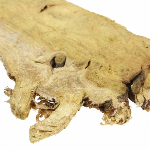 Floristik24 Deco drewniane krążki natura 1kg