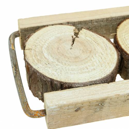 Floristik24 Taca dekoracyjna drewno z plastrami drzewa 34cm x 12cm wys.3cm