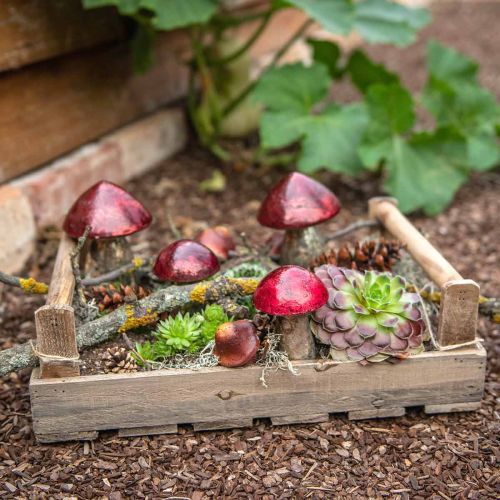 Floristik24 Taca drewniana prostokątna natura, beżowa 39x27cm/48x32cm zestaw 2 szt