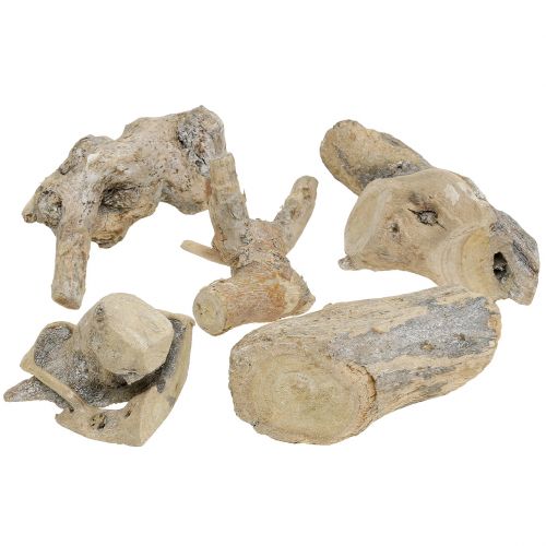 Floristik24 Wood Root Grey Washed 500g