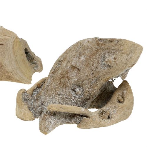 Floristik24 Wood Root Grey Washed 500g
