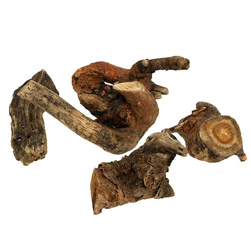 Produkt Korzeń drewna natura 6cm-13cm 500g