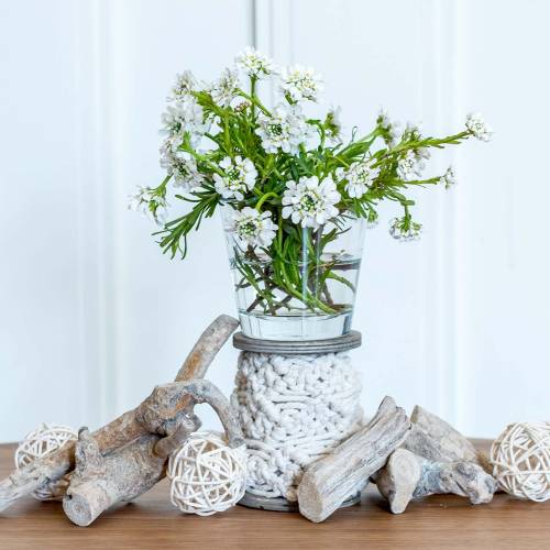 Floristik24 Wood Root Grey Washed 500g