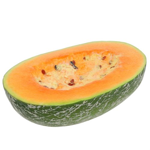 Floristik24 Melon spadziowy pół 22,5 cm jasnopomarańczowy