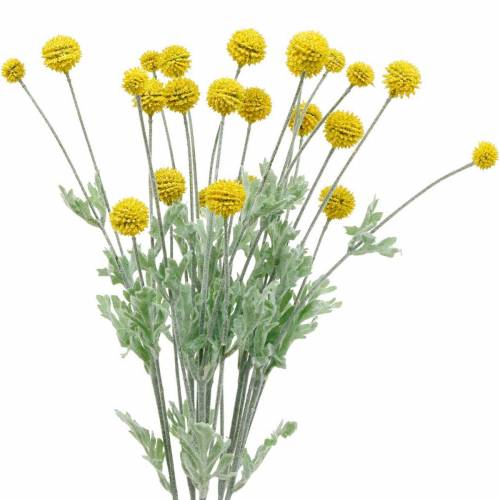 Podudzie Żółte Sztuczne Craspedia Jedwabne Kwiaty