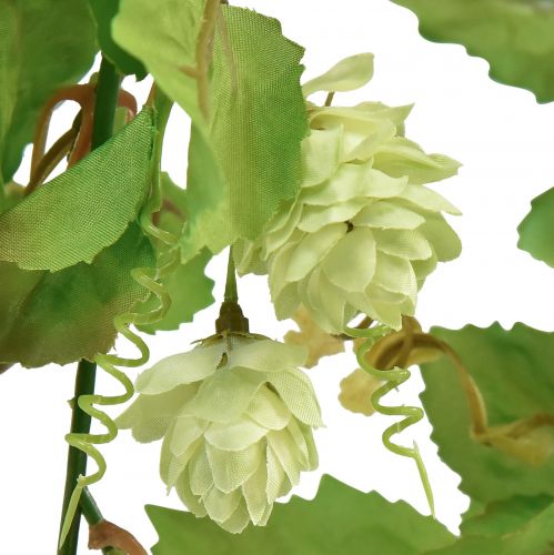 Floristik24 Girlanda z liści chmielowa zielona sztuczna L180cm