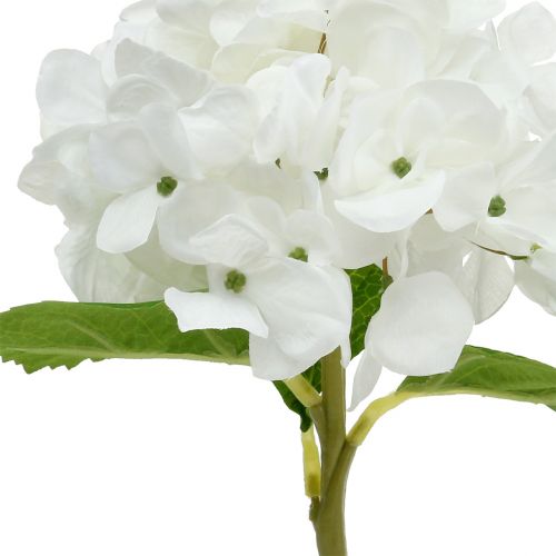 Floristik24 Hortensja dekoracyjna biała 36cm