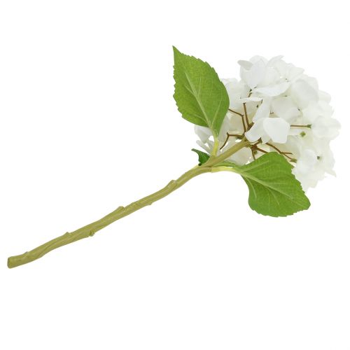 Floristik24 Hortensja dekoracyjna biała 36cm