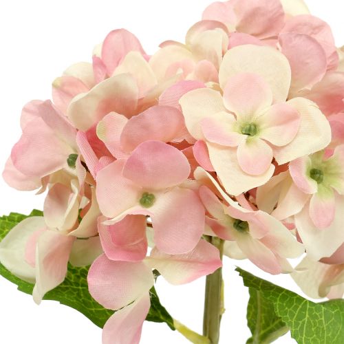 Floristik24 Hortensja różowa, kremowa 36cm