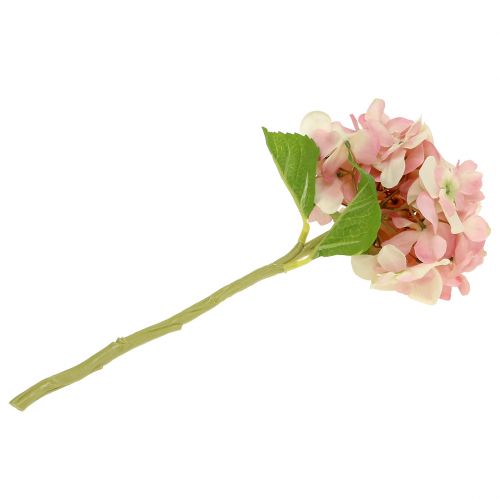 Floristik24 Hortensja różowa, kremowa 36cm