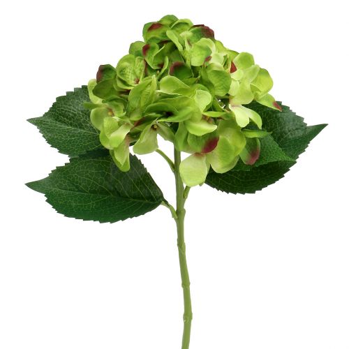 Floristik24 Hortensja zielona sztuczna do dekoracji L54cm