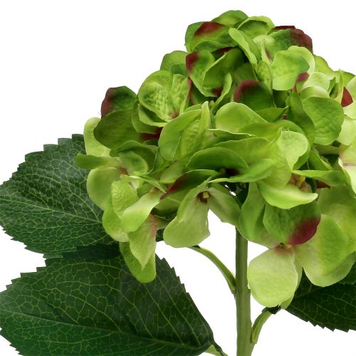 Floristik24 Hortensja zielona sztuczna do dekoracji L54cm