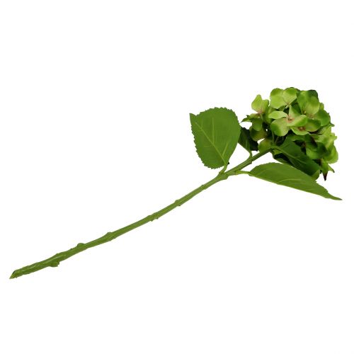 Floristik24 Hortensja zielona sztuczna do dekoracji L54cm