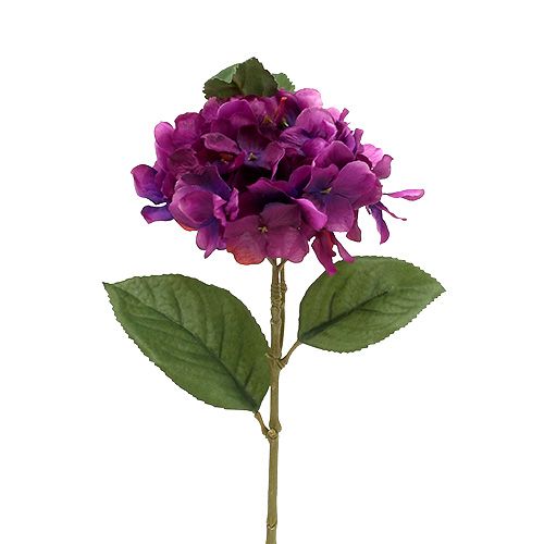 Floristik24 Hortensja fioletowa 30cm 3szt.