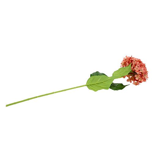 Produkt Hortensja różowa 80cm 1 szt