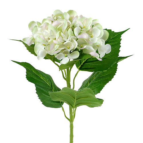 Hortensja biało-zielona 60cm | Floristik24.pl