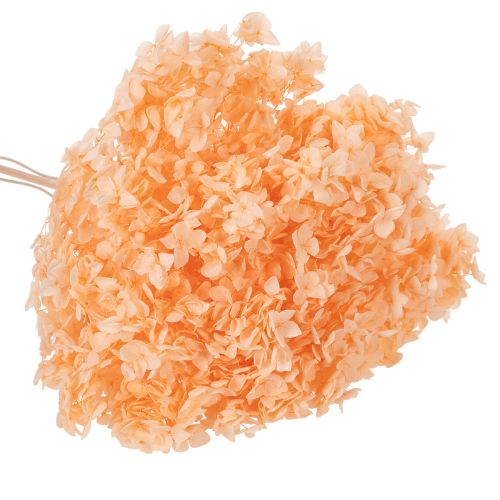 Produkt Bukiet suszonych kwiatów hortensji do eleganckich dekoracji kwiatowych w domu, 65 cm