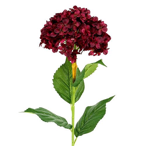 Floristik24 Hortensja sztuczna ciemnoczerwona 80cm 1 szt