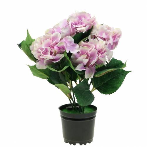 Floristik24 Kwiaty jedwabne hortensja w doniczce liliowa 35cm