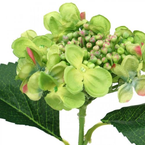 Produkt Sztuczna hortensja, dekoracja kwiatowa, kwiat jedwabiu zielony L44cm
