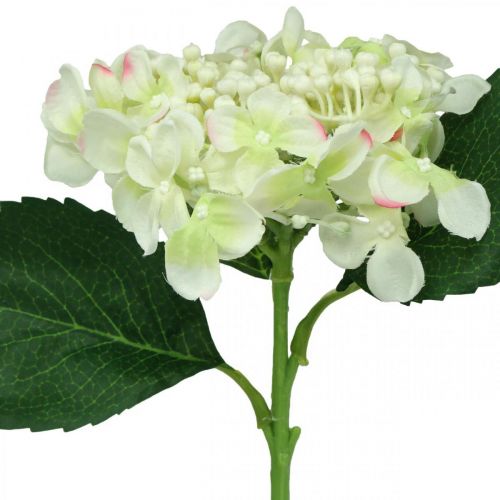 Produkt Hortensja, kwiat jedwabiu, sztuczny kwiat do dekoracji stołu biały, zielony L44cm